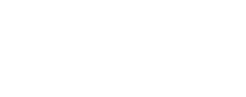 SSP Domotics