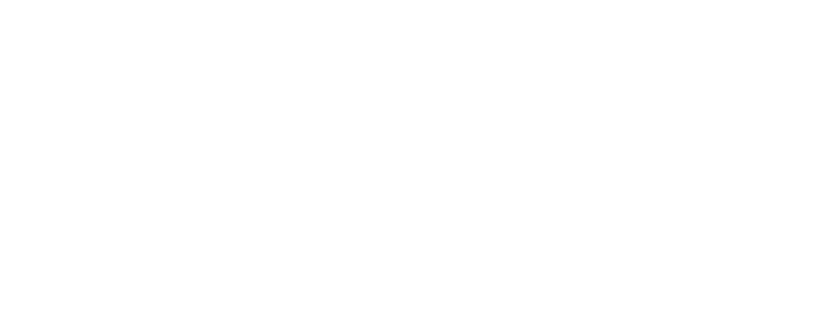 SSP Services